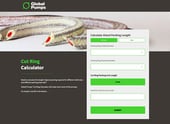 cut-ring-packing-length-calculator
