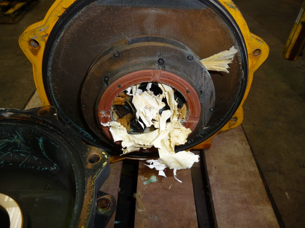 debris-caught-in-pump-impeller