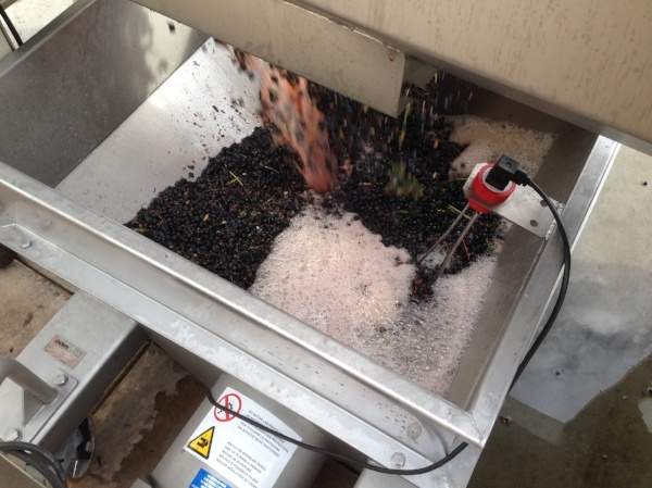 Progressive_Cavity_Wine_Pump_Kiber